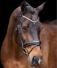 Imperial Riding Olympia Trense aus Büffelleder mit Strass und Kalbslederpolsterung Schwarz-Silber Cob – Bild 1 von 4