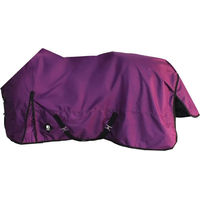 Produktbild von Imperial Riding Outdoor-Decke für Pferde Limited