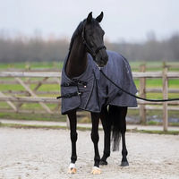 Produktbild von Imperial Riding Outdoor-Decke für Pferde Super-dry AOP 200g