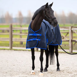 Imperial Riding Outdoor-Pferdedecke mit Halsabdeckung 300g – Bild 1 von 1