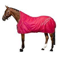 Produktbild von Imperial Riding Outdoordecke IRH Super-Dry 200gr Rot aus Oxford-Gewebe