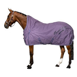 Imperial Riding Outdoordecke IRH Super-Dry 50gr aus 600D-Material in Amethyst Lila Größe 205 – Bild 1 von 5