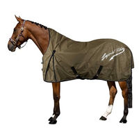 Produktbild von Imperial Riding Outdoordecke IRH Super-Dry für Pferde Olive Green 165