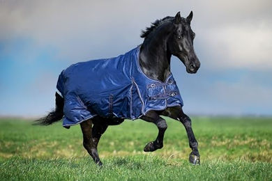 Imperial Riding Outdoordecke IRH Super-Dry Winterdecke für Pferde Navy 155 - 300 g – Bild 1 von 3