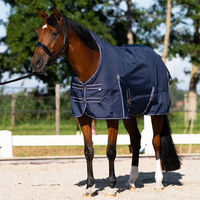 Produktbild von Imperial Riding Outdoordecke IRHBasic mit hohem Halsteil 400g Blau