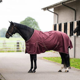 Imperial Riding Outdoordecke IRHBasic ohne Halsteil grün – Bild 1 von 7