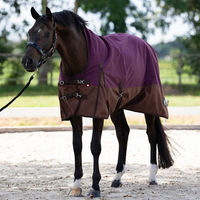 Produktbild von Imperial Riding Outdoordecke IRHCustomized Pferdedecke mit hohem Halsteil 300g Braun