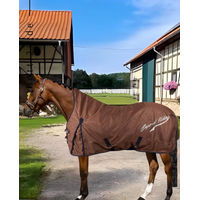 Produktbild von Imperial Riding Outdoordecke IRHSuperdry 200g Braun