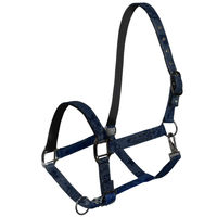 Produktbild von Imperial Riding Pferde Halfter IRH Ambient AOP Blau aus Polyester