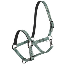 Imperial Riding Pferde Halfter IRH Ambient AOP in Grün aus Polyester – Bild 1 von 1