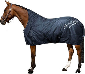 Imperial Riding Pferdedecke aus Polyester in Blau – Bild 1 von 2