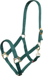 Produktbild von Imperial Riding Pferdehalfter Economic aus Nylon in Grün Größe XFull