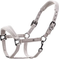 Produktbild von Imperial Riding Pferdehalfter Penny aus Nylon