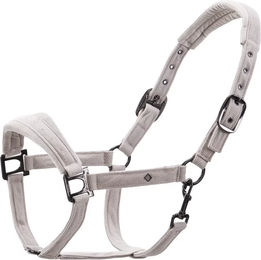 Imperial Riding Pferdehalfter Penny aus Nylon – Bild 1 von 1