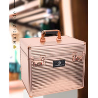 Produktbild von Imperial Riding Putzkoffer IRH Shiny Classic Roségold aus Aluminium