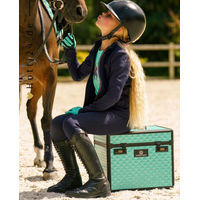 Produktbild von Imperial Riding Putzkoffer IRHShiny Tiffy