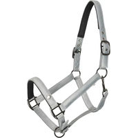 Produktbild von Imperial Riding Rebel Halfter für Ponys aus Kunstleder in Blau oder Grau