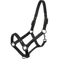 Produktbild von Imperial Riding Rebel Halfter für Ponys aus Kunstleder in Schwarz