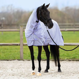 Imperial Riding Reese Fliegendecke für Pferde – Bild 1 von 1