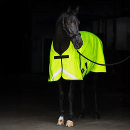 Imperial Riding Reflective Outdoor-Decke für Pferde 100g – Bild 1 von 1