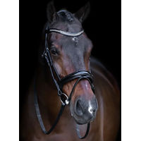 Produktbild von Imperial Riding Reittrense aus Leder mit englischem Nasenriemen für Ponys in Schwarz