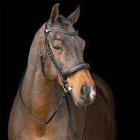 Produktbild von Imperial Riding Shetty Reittrense aus Leder mit englischem Nasenriemen in Schwarz