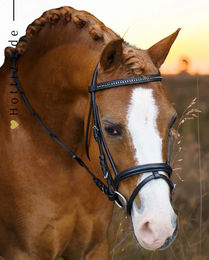 Produktbild von Imperial Riding Shetty Trense IRH Stormy aus Leder in Schwarz