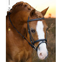Produktbild von Imperial Riding Shetty Trense IRH Stormy aus Leder in Schwarz