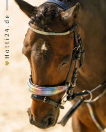 Produktbild von Imperial Riding Shetty Trense Rainbow aus Leder in Bunt
