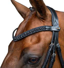 Imperial Riding Slim Stirnband für Pferde – Bild 1 von 1