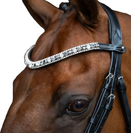 Imperial Riding Slim Stirnband für Pferde – Bild 1 von 1