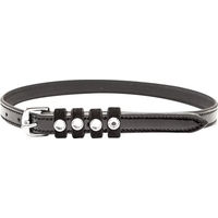 Produktbild von Imperial Riding Sporenriemen aus Leder für Pferde in Schwarz