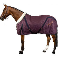 Produktbild von Imperial Riding Stalldecke für Pferde Super-dry Rot - 150 g