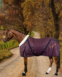 Produktbild von Imperial Riding Stalldecke IRH Superdry 100g Bordeaux