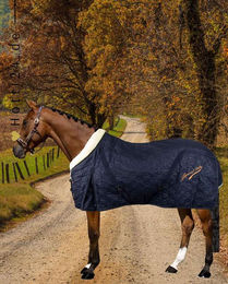 Produktbild von Imperial Riding Stalldecke IRHSuperdry 100gr Navy Blau