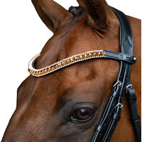 Produktbild von Imperial Riding Stirnband Grande aus Leder mit Glas-Strasssteinen und Stiftverschluss Bronze Full
