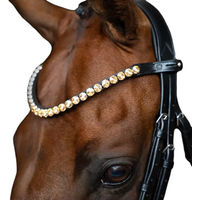Produktbild von Imperial Riding Stirnband Grande aus Leder mit Glas-Strasssteinen und Stiftverschluss Gold Full