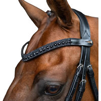 Produktbild von Imperial Riding Stirnband IRHSlim aus Leder mit Glas-Strasssteinen und Stiftverschluss Schwarz Full