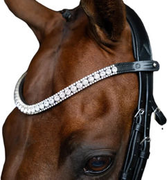 Imperial Riding Stirnband IRHSlim aus Leder mit Glas-Strasssteinen und Stiftverschluss Silber Cob – Bild 1 von 1