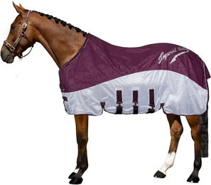 Imperial Riding Super-Dry 2-in-1 Regen- und Fliegendecke für Pferde ohne Halsteil in Bordeaux Grösse 145 – Bild 1 von 4