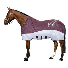 Imperial Riding Super-Dry 2-in-1 Regen- und Fliegendecke für Pferde ohne Halsteil in Rot 155 – Bild 1 von 4