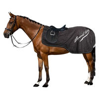 Produktbild von Imperial Riding Super-Dry Ausreitdecke für Pferde Schwarz Größe S wasserdicht ohne Füllung