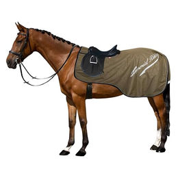 Imperial Riding Super-Dry Nierendecke für Pferde Olivgrün XL – Bild 1 von 3