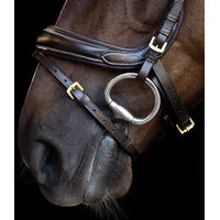 Produktbild von Imperial Riding Trense mit englischer Schnalle