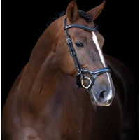 Produktbild von Imperial Riding Trense mit Nasenriemen