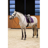 Produktbild von Imperial Riding Vielseitigkeitsschabracke IRH Lovely Pearl Berry in Lila aus Baumwolle