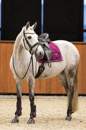 Produktbild von Imperial Riding Vielseitigkeitsschabracke IRH Lovely Pearl Flower Lila Baumwolle