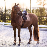 Produktbild von Imperial Riding Vielseitigkeitsschabracke IRHLovely Pearl Cappuccino aus Baumwolle in Beige und Braun