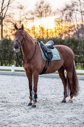 Produktbild von Imperial Riding Vielseitigkeitsschabracke IRHLovely Pearl Green aus Baumwolle