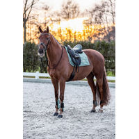 Produktbild von Imperial Riding Vielseitigkeitsschabracke IRHLovely Pearl Green aus Baumwolle